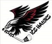 bcicehawkslogo