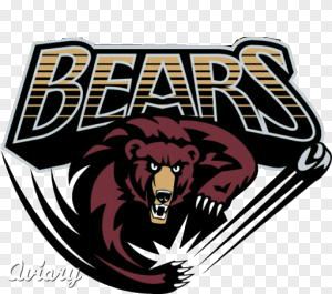 Bears